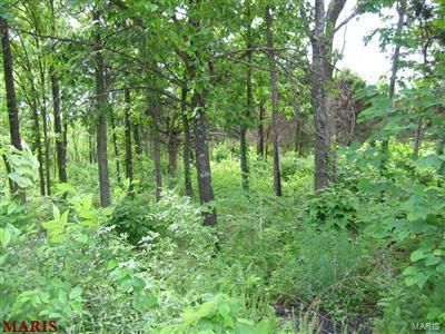 0 Klondike Rd, De Soto, MO, 63020