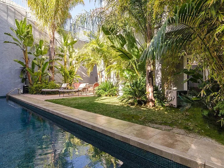 Beautiful lap pool and backyard.