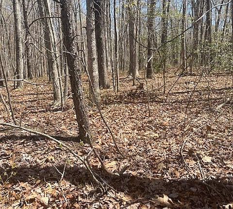3rd image of 0 Reeves Rd