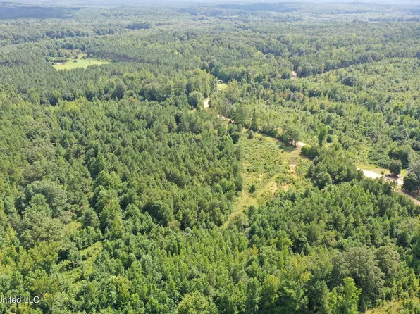 390 McKee Rd, Falkner, MS 38629