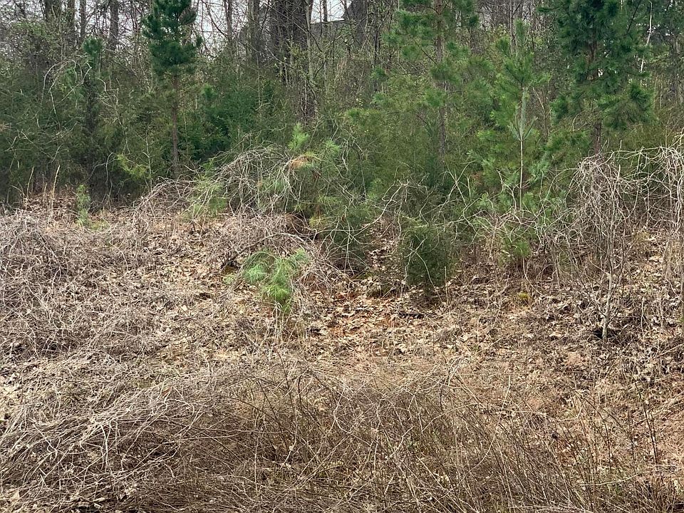 2nd image of 1808 Community Dr Lot 11