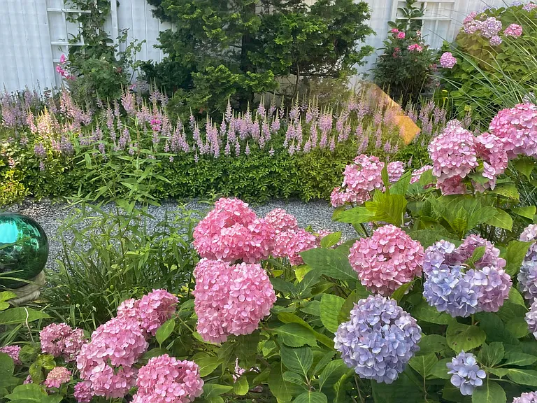 25 Midhampton Ave — Photo 31
