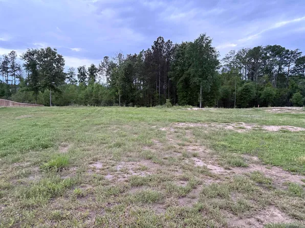 43646 Collyns Cv, Prairieville, LA 70769