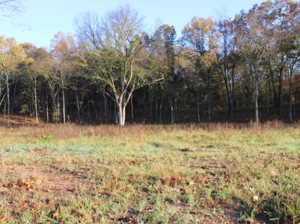 0 Missouri Ave Tract 4, Harrison, AR 72601