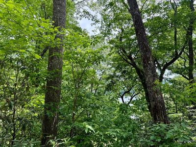 0 Via Del Ln, Franklin, NC, 28734