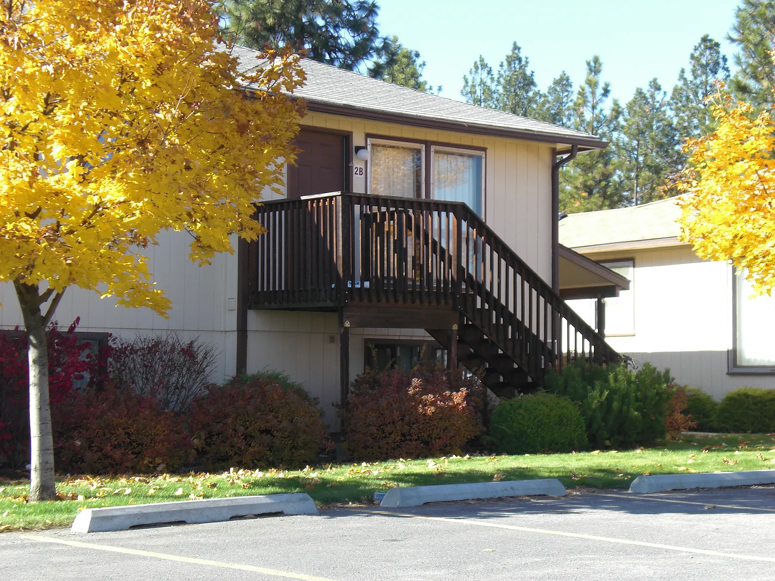 1 bed, 700 sqft, $1,100 — Photo 1