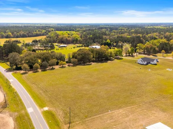 0 Clevy Deloach Rd, Brooklet, GA 30415