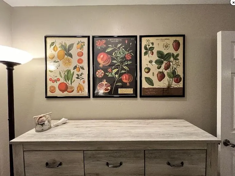 10270 Melojo Ln — Photo 8