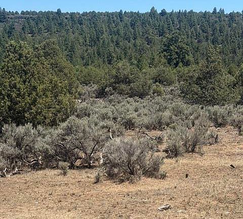4th image of 49A Heron P1 49a Private Rd