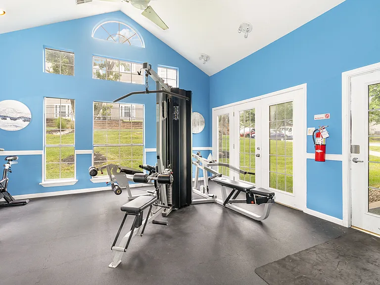 Take your routine to the next level today.