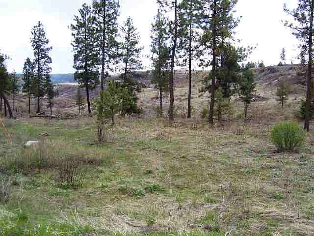 2nd image of 0 W Tepee