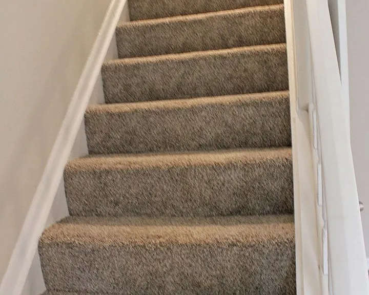 104 Jennifer Dr — Photo 12