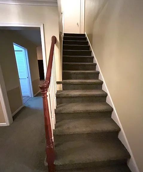 6204 Birch Row Dr #1 — Photo 14
