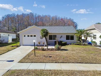 11719 Alderwood Dr, New Port Richey, FL, 34654
