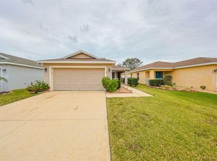 1016 Chandler Snowden Ct, Ruskin, FL 33570