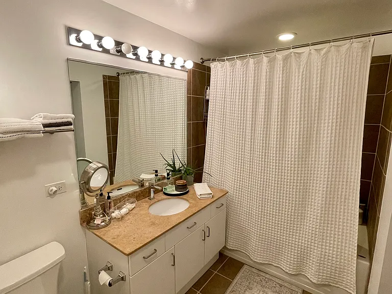 1720 S Michigan Ave #2504 — Photo 9