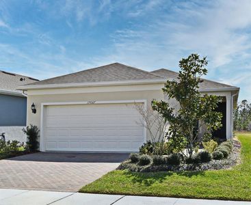 17667 Saw Palmetto, Clermont, FL, 34714