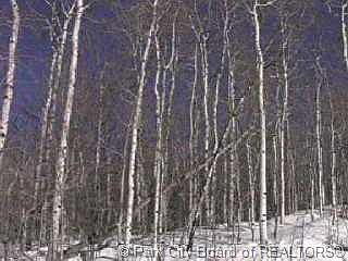 1st image of 551 S Blue Spruce Dr #551