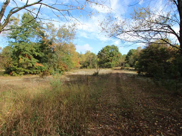 River Ranch Rd, Hersey, MI 49639