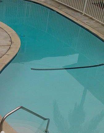 5th image of 9320 Elm Vista Dr #2404