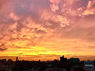 Sold by Bond New York