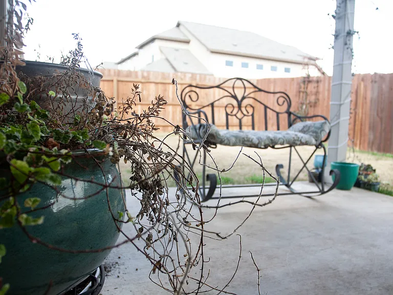 Back Porch