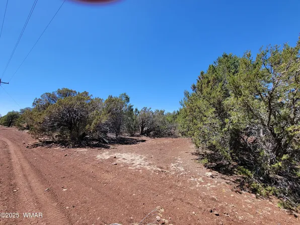 County Road 3113, Vernon, AZ 85940