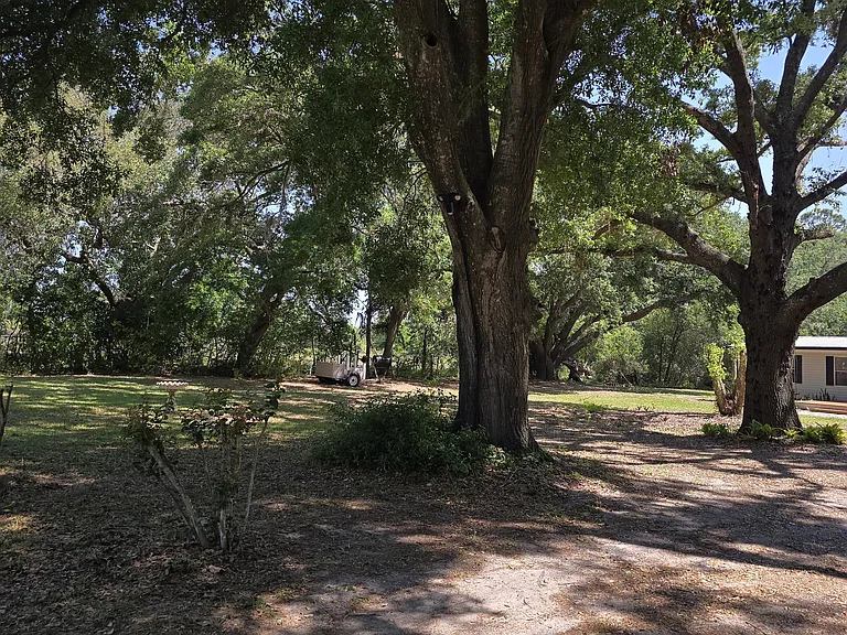 Front Yard
"Spacious front yard with plenty of room to enjoy or garden."