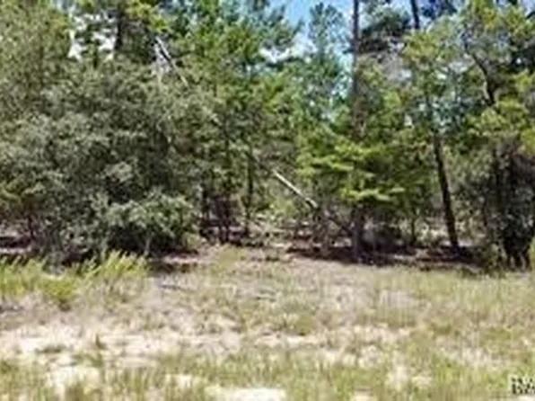 1 Crossandra Ct E, Homosassa, FL 34446