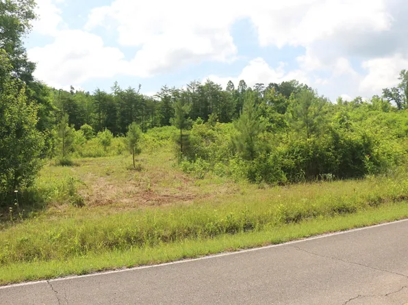 2 N Nopone Valley Rd, Decatur, TN 37322
