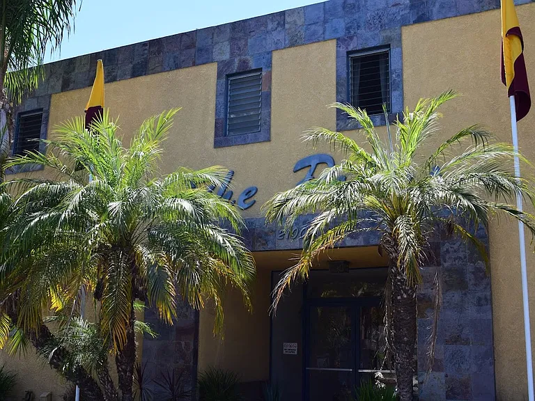 The Palms — Photo 4