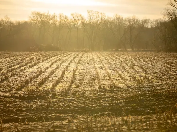 Ray County Line Rd, Excelsior Springs, MO 64024