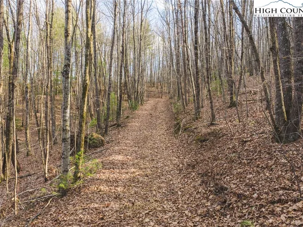 TBD Lot 2 All Healing Springs Road, Taylorsville, NC 28681