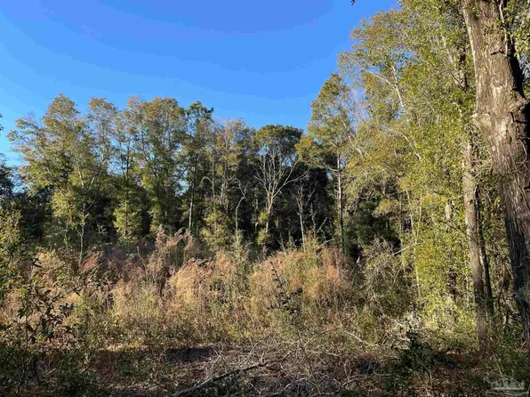 8686 Fields Rd, Milton, FL 32583
