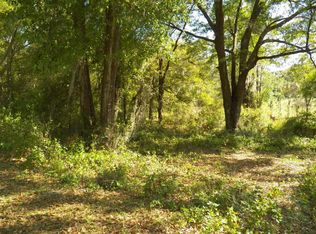 2334 W Springlake Dr, Dunnellon, FL 34434