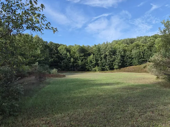 Adamson Lake Rd, Kaleva, MI 49645