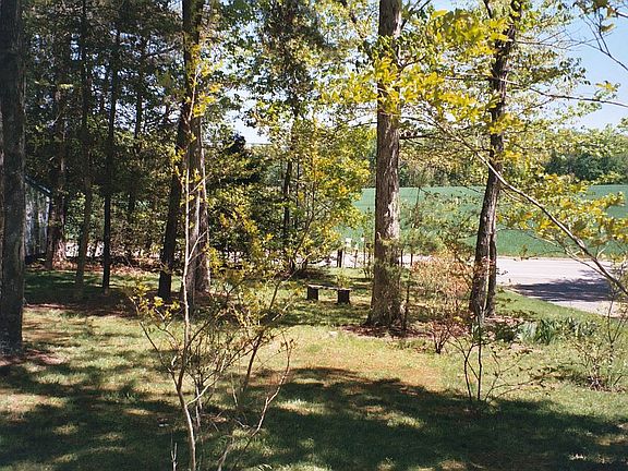 Looking East
