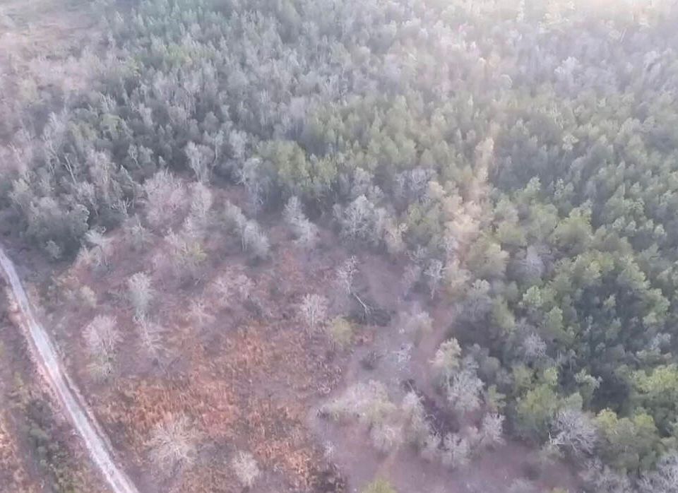 Palmer Creek Dr, Saucier, MS 39574 MLS 4008201 Zillow