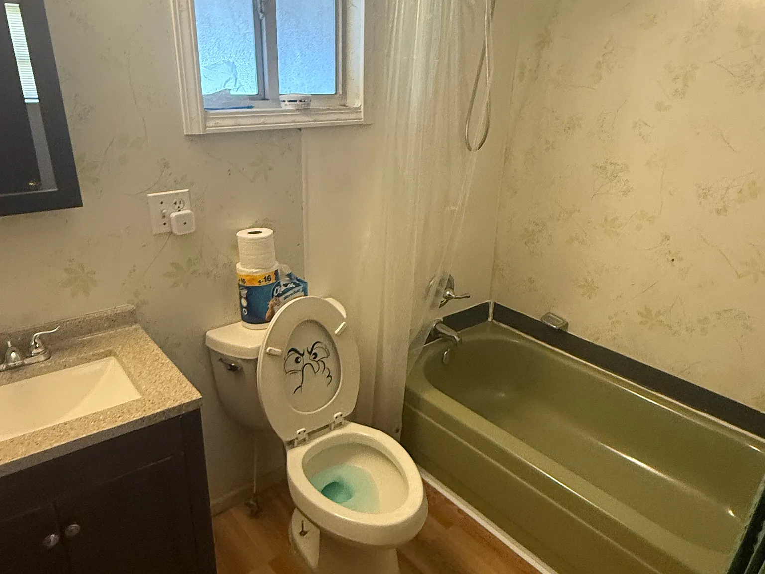 3 bed, 900 sqft, $1,250 — Photo 4
