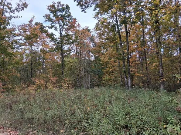 Webster Rd, Elmira, MI 49730