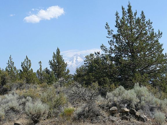 actual view of Mt. Shasta