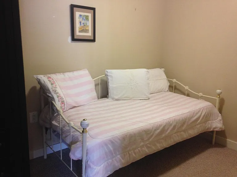 Den/Converted Bedroom