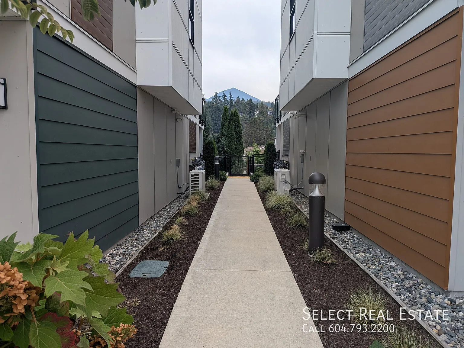 4 bed, 2.5 bath, 1496 sqft, $2,900 — Photo 3