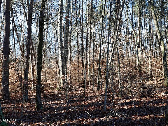 4th image of 184 Fagin Ln