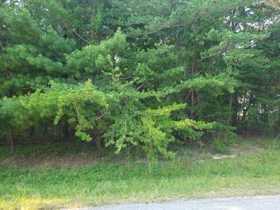 153 Mountain View Dr LOT 8, Crossville, TN, 38558