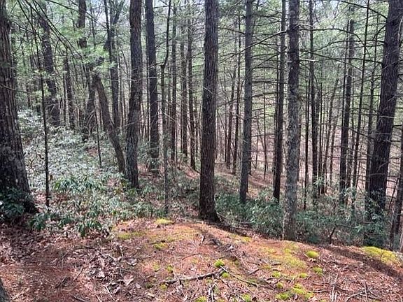 5th image of 2878 Hankey Mountain Hwy