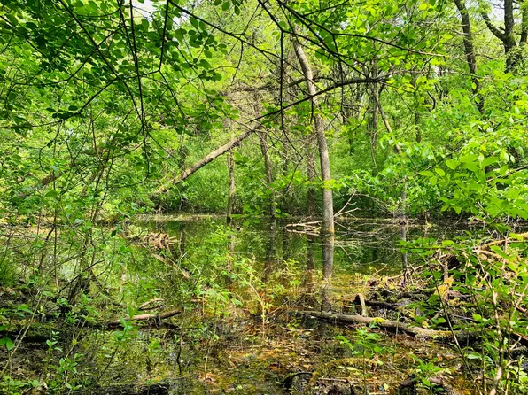 147XX County Highway 30 Lot A, Pelican Rapids, MN 56572