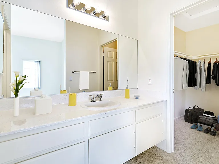Bathroom and Walk In Closet