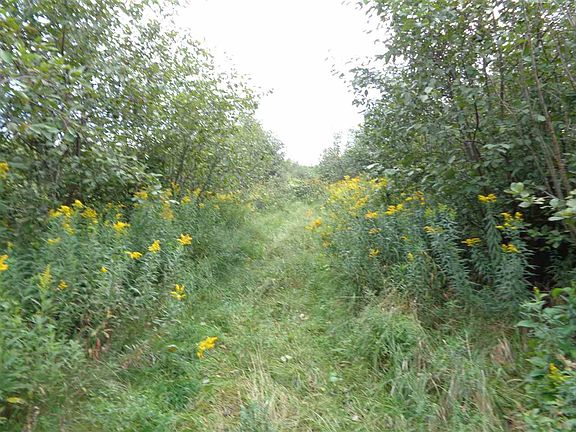 2nd image of +/-39.97 Acres Johns Ln