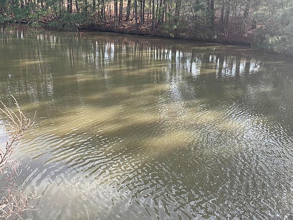 2nd image of 23 Blue Heron Boulevard LOT 23
